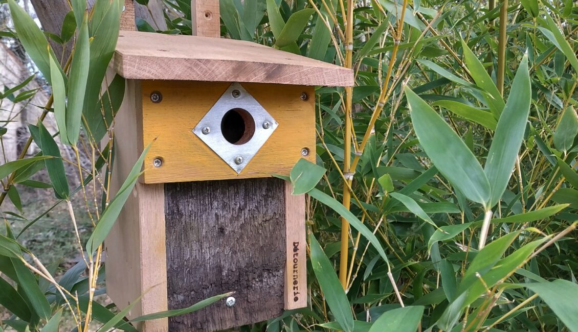 Atelier naturaliste : Les nichoirs