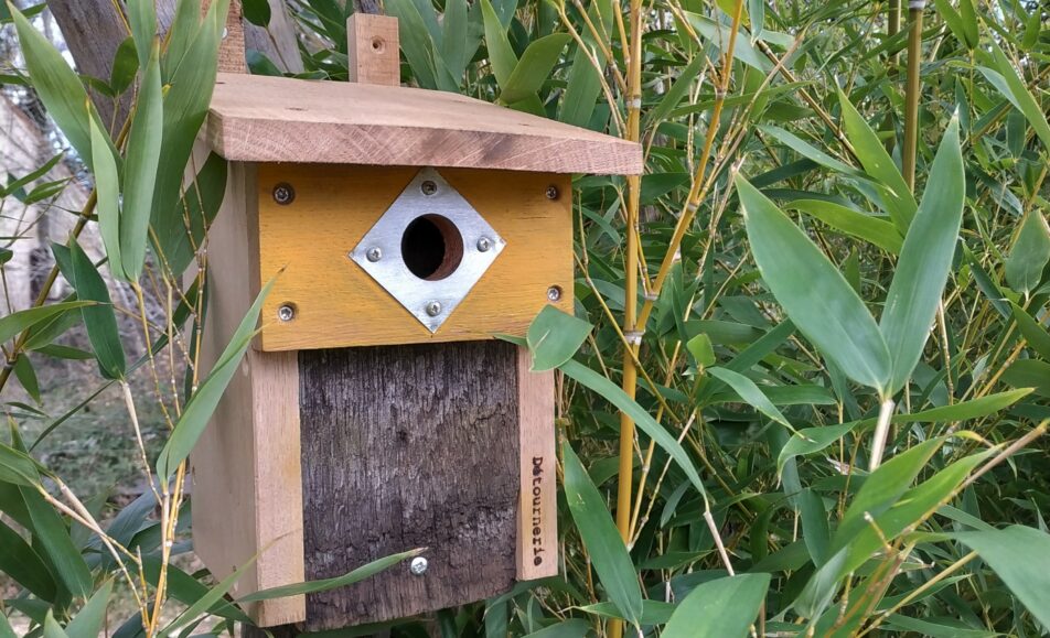 Atelier naturaliste : Les nichoirs