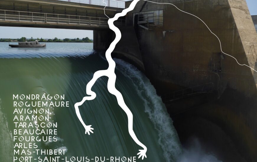 Dans les Bras du Rhône