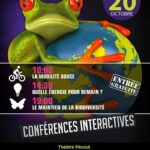Conférences interactives