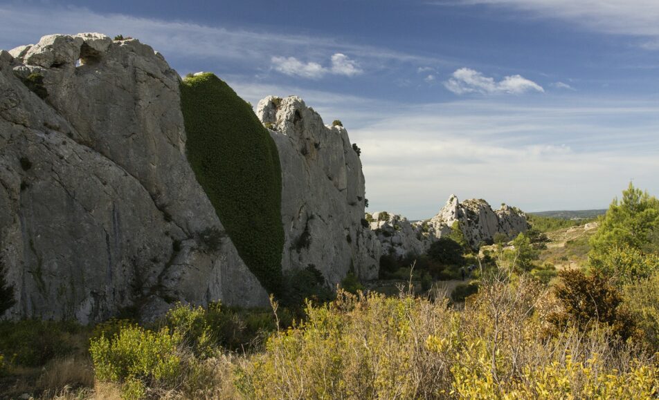 Sortie nature : Sur les traces de nos ancêtres