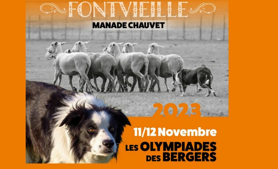 Les Olympiades des Bergers - Chiens de Troupeaux