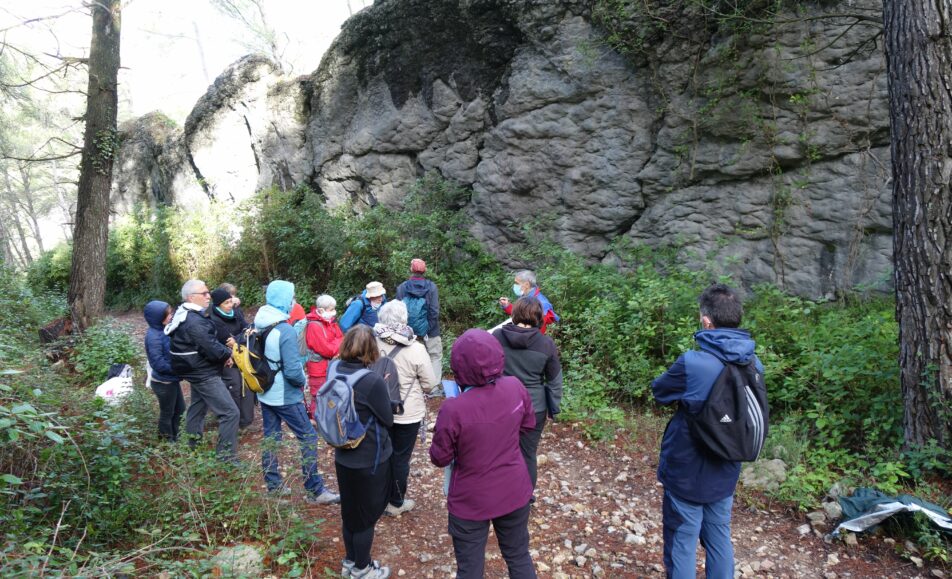 Visite du Musée Urgonia - Le sentier de la Pierre