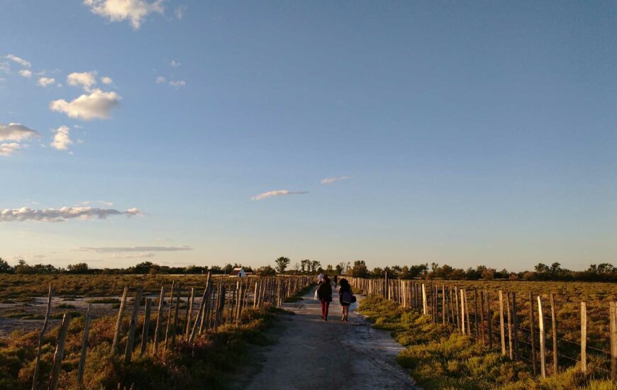 Visite guidée du sentier du Mas du Pont de Rousty