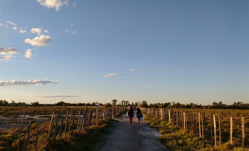 Visite guidée du sentier du Mas du Pont de Rousty