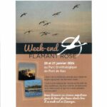 Week-end Flamant Rose au Parc Ornithologique