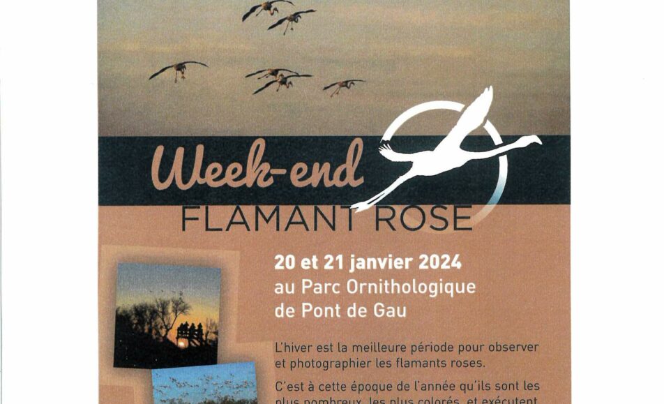 Week-end Flamant Rose au Parc Ornithologique