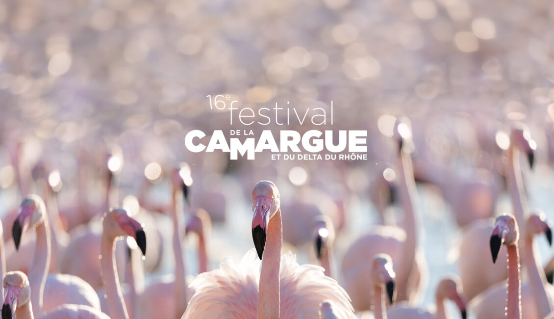 Le Festival de la Camargue au Domaine de Méjanes