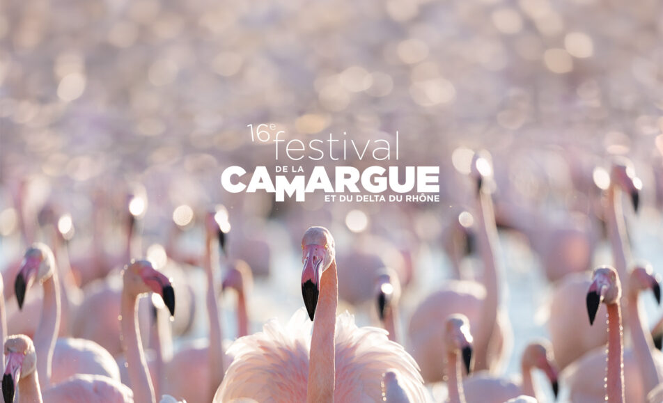 Le Festival de la Camargue au parking de la Comtesse