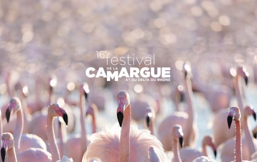 Le Festival de la Camargue à Salin-de-Giraud