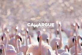 Le Festival de la Camargue au Sambuc