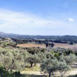 Chemin paysan : Les oliviers et amandiers de Bruno