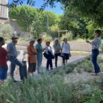 Atelier jardin au naturel : Les potées plantes grasses