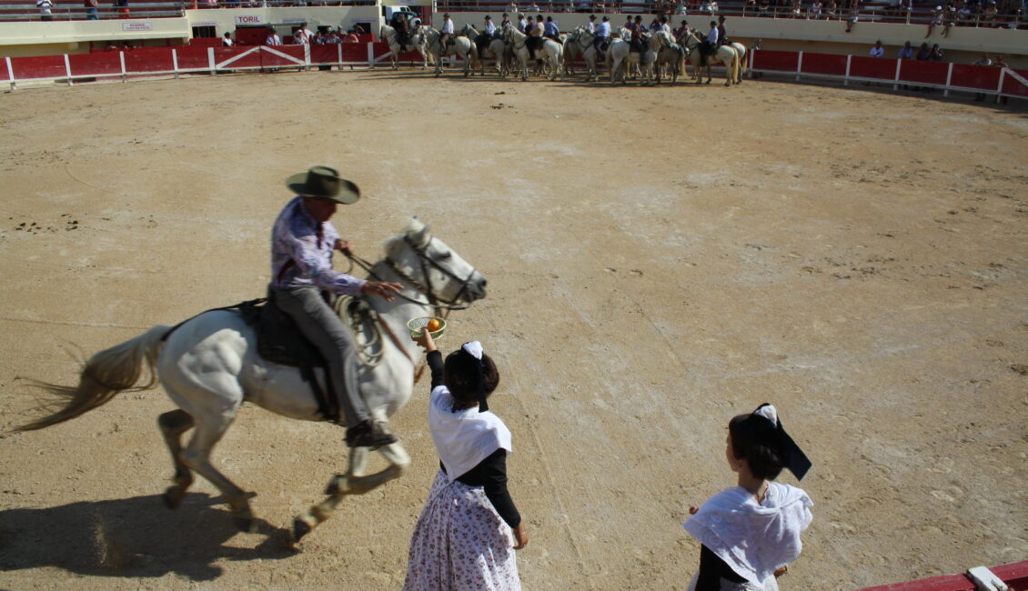 La Camargue aux Arènes