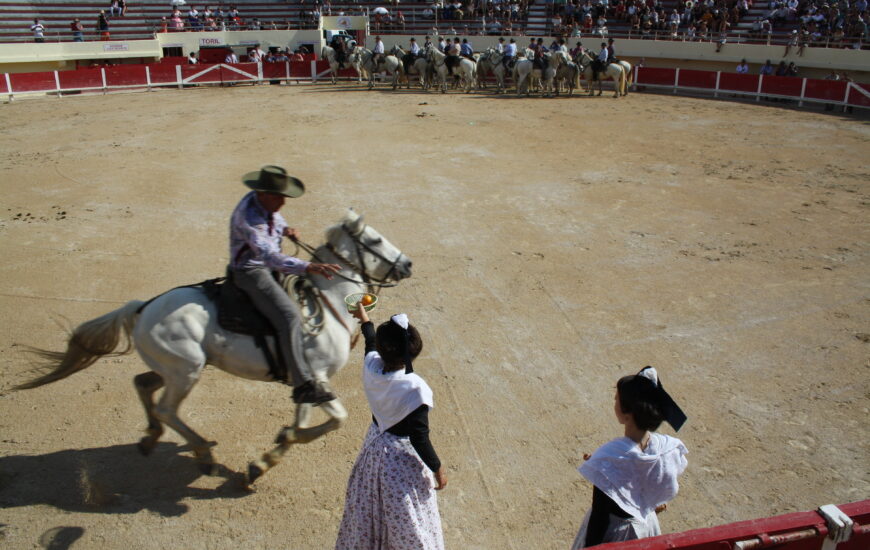 La Camargue aux Arènes