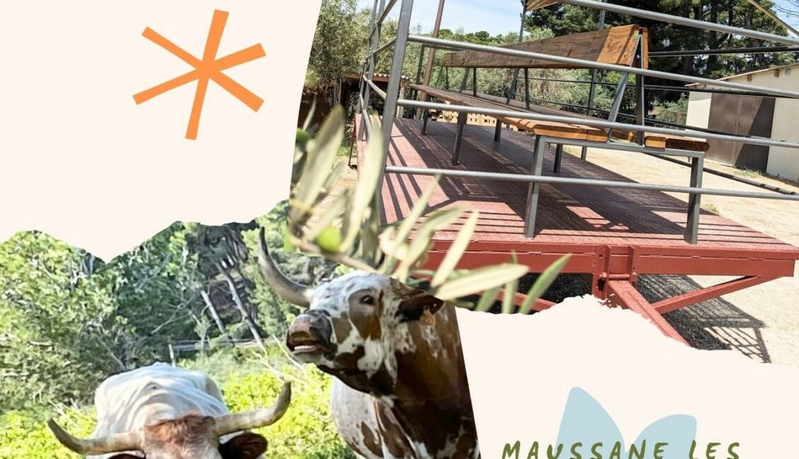 Visite en wagon tracté au Petit Roman