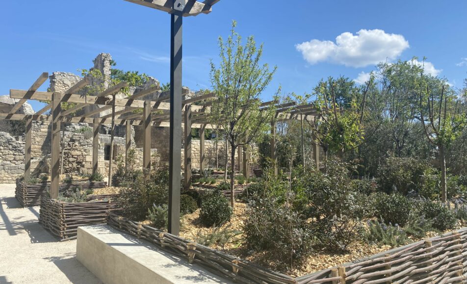 Visites Guidées Thématiques "Le Jardin médiéval et la mythologie des fruits et légumes"