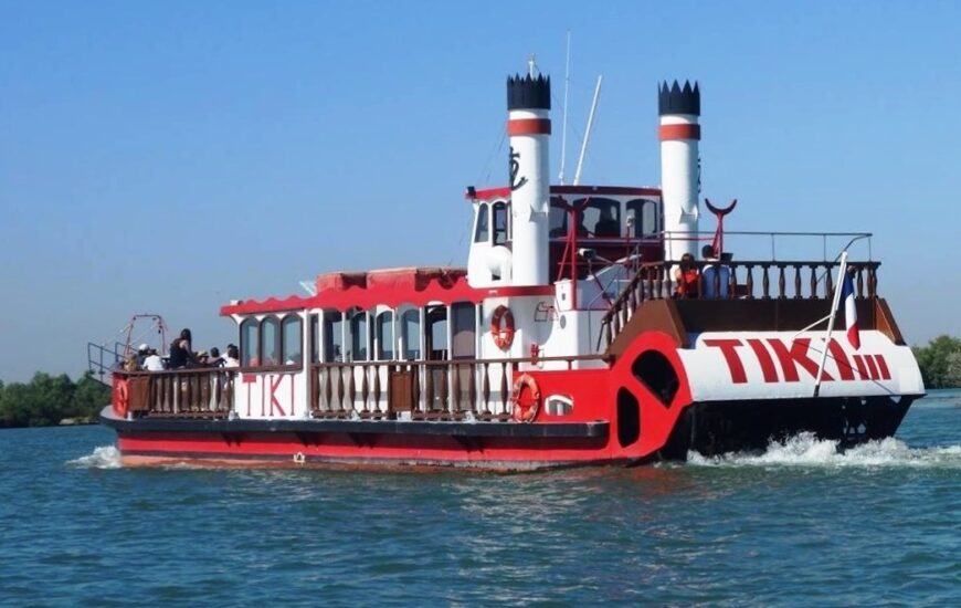 Journée croisière en Camargue