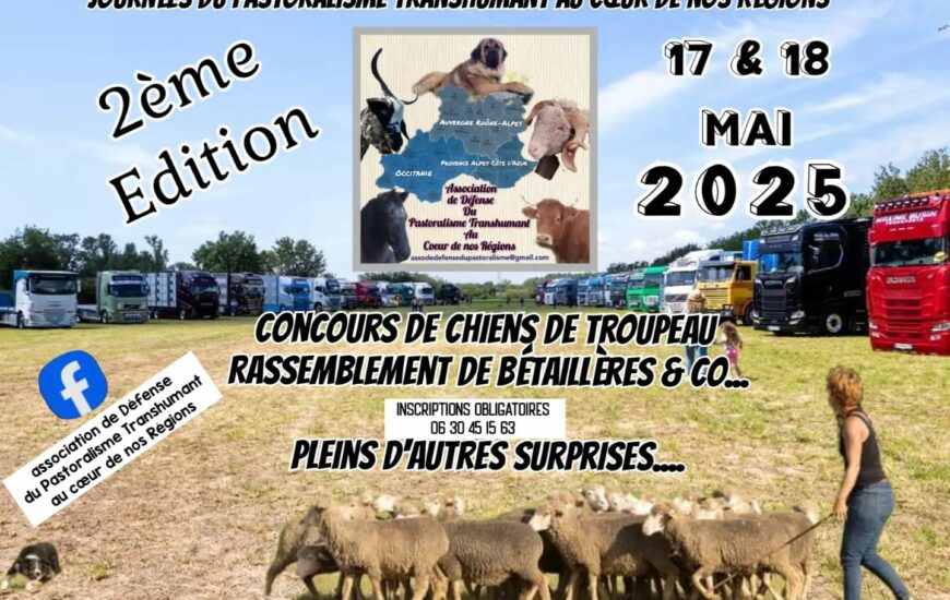 Pastoralisme transhumant