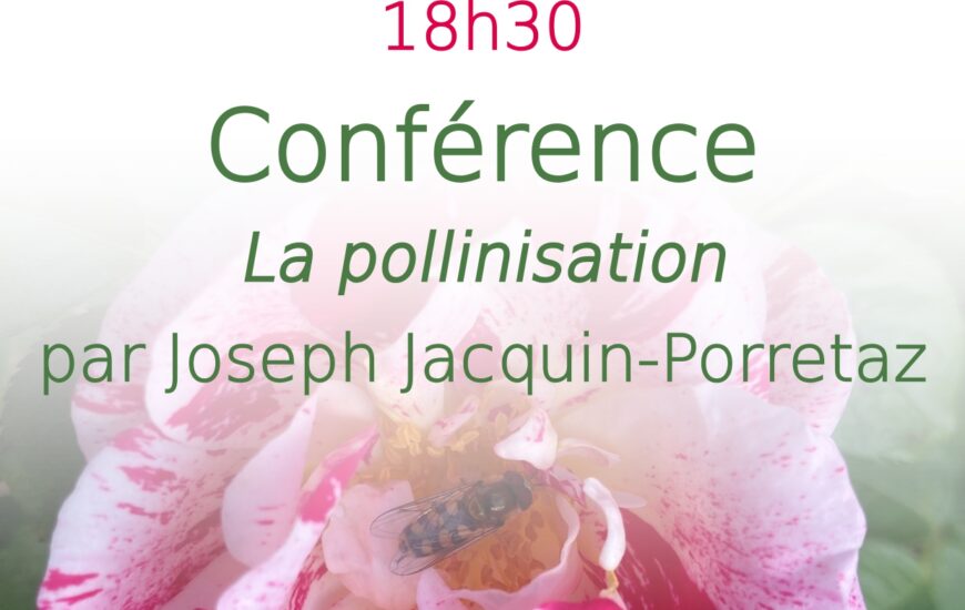 Conférence : La pollinisation
