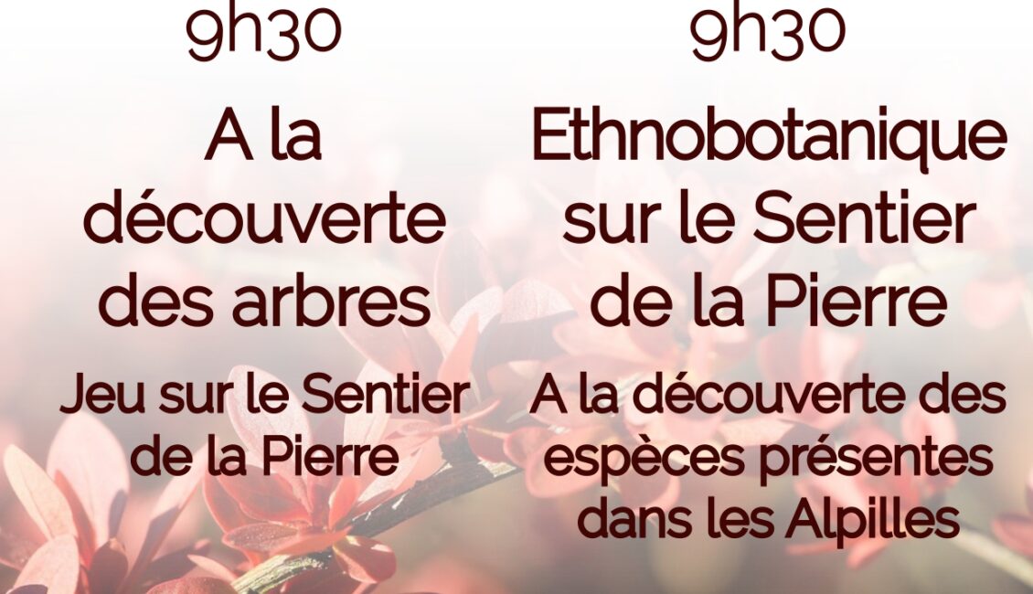 Les merdredis au Musée
