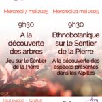 Les merdredis au Musée