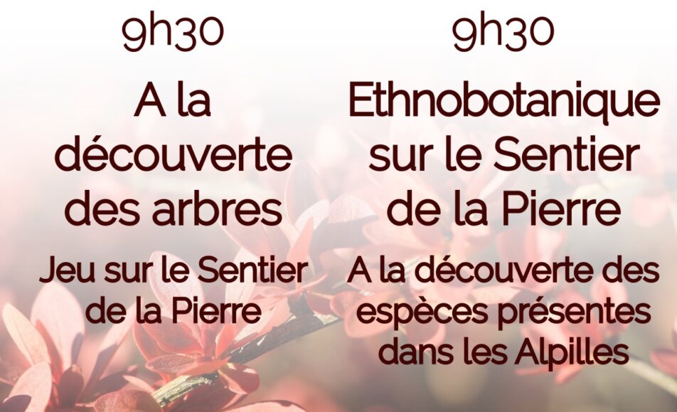 Les mercredis au Musée