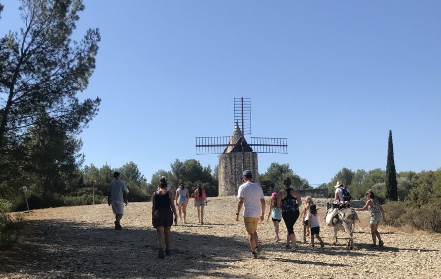 Balade en compagnie  des petits ânes : Sur le sentier des Moulins