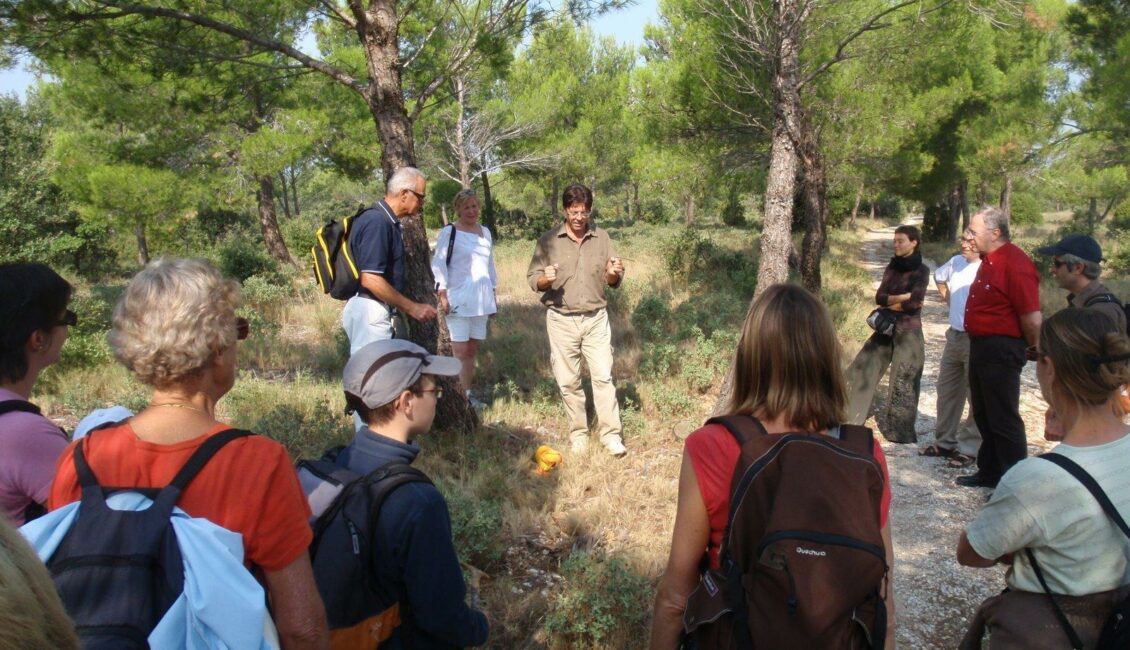 Sortie nature : La sourcellerie dans les Alpilles