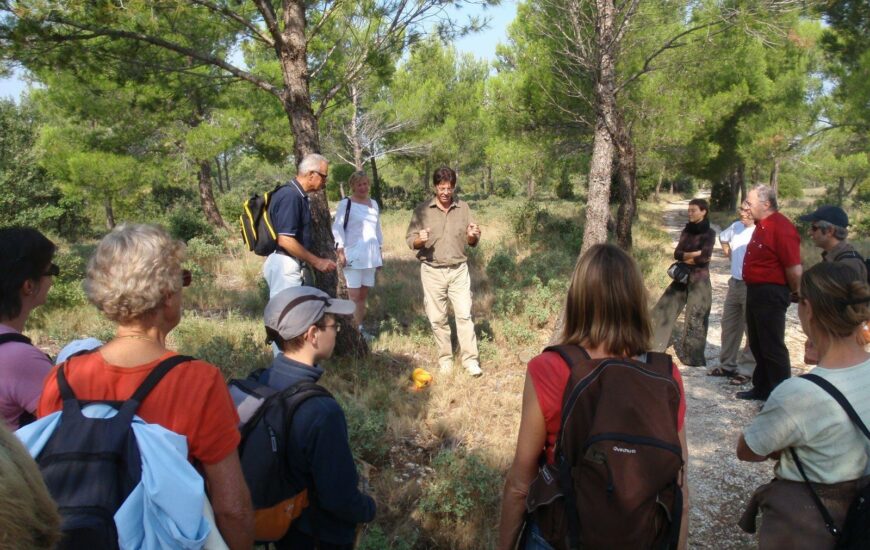 Sortie nature : La sourcellerie dans les Alpilles