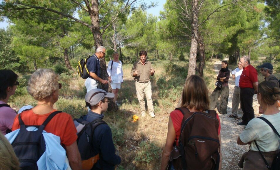 Sortie nature : La sourcellerie dans les Alpilles
