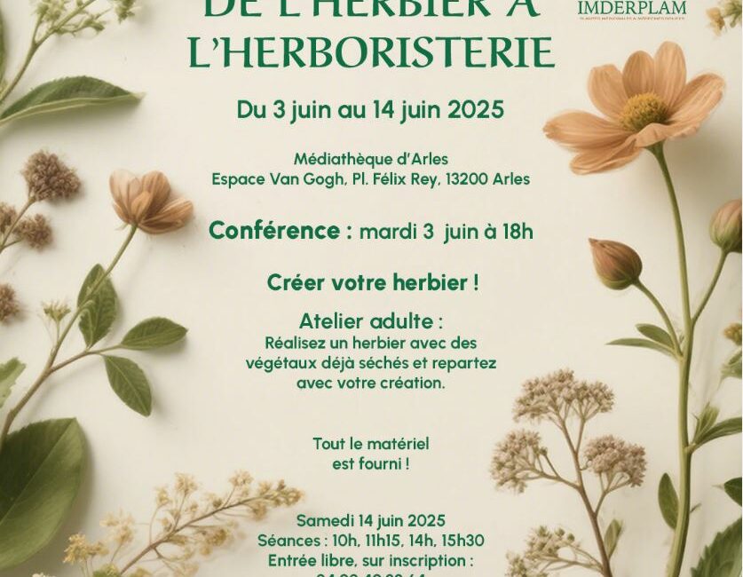 De l'herbier à l'herboristerie