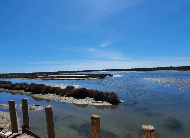 Découverte des métiers de la mer
