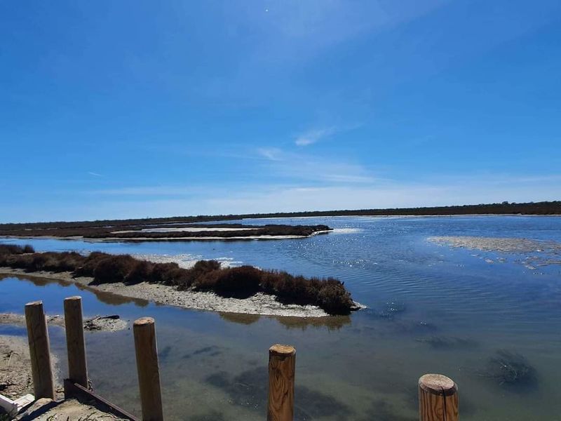 Découverte des métiers de la mer