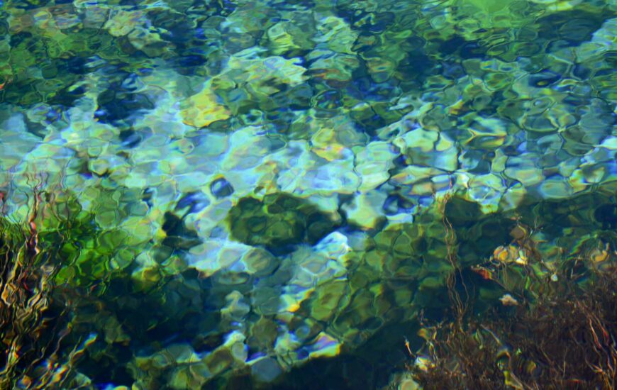 Festival OFF - Exposition "Ce que l'eau nous dit"