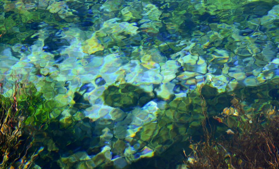 Festival OFF - Exposition "Ce que l'eau nous dit"