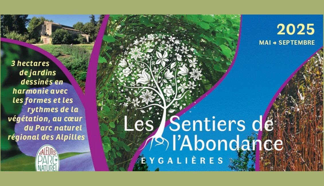 Visite botanique aux Sentiers de l'Abondance
