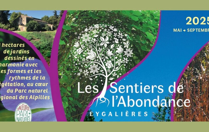 Visite botanique aux Sentiers de l'Abondance