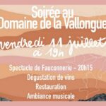 Soirée au Domaine de la Vallongue