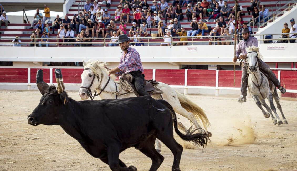 Spectacle camarguais organisé par le club Etienne Boisset aux arènes
