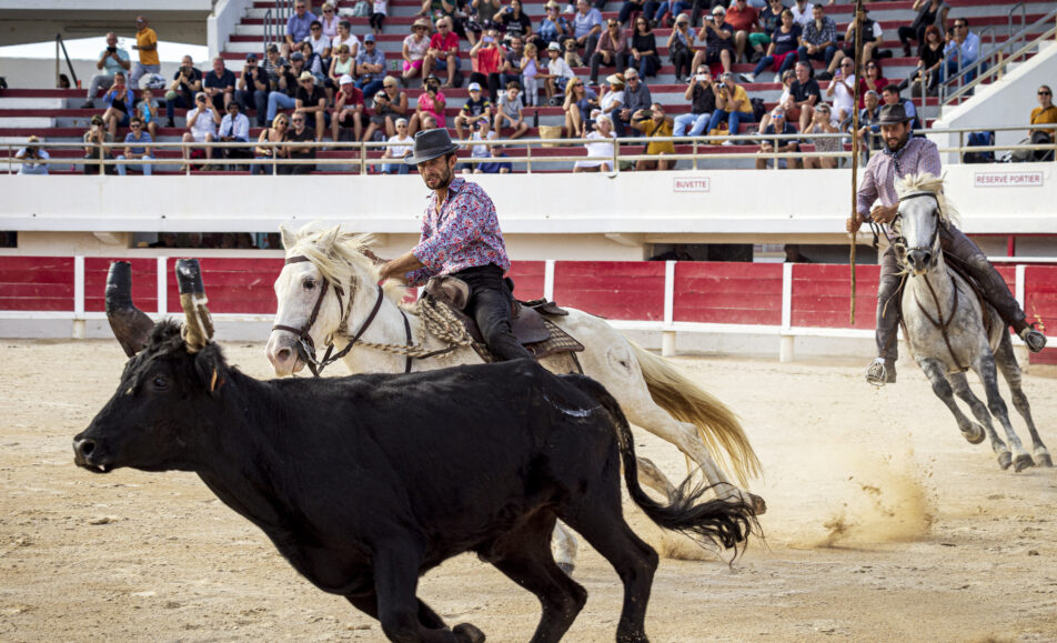 Spectacle camarguais organisé par le club Etienne Boisset aux arènes