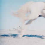 field recordings - enregistrements sur le terrain