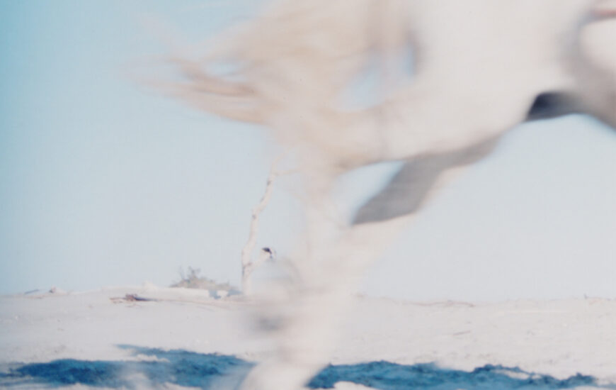 field recordings - enregistrements sur le terrain