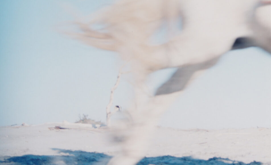 field recordings - enregistrements sur le terrain