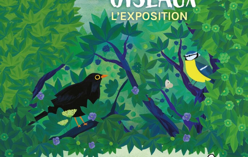 Exposition "Observons les oiseaux"