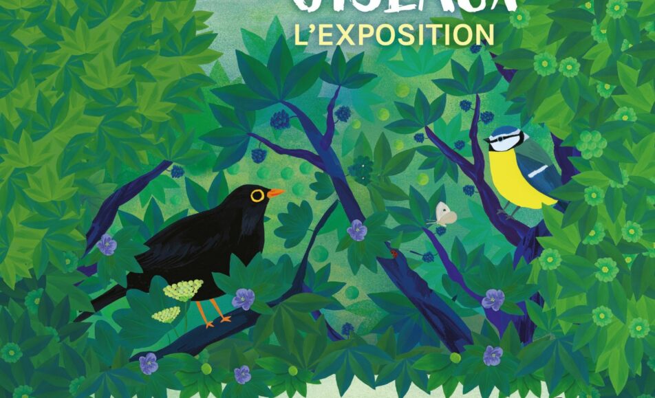 Exposition "Observons les oiseaux"