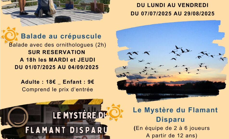 Visites guidées au Parc Ornithologique