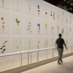 LUMA Arles / Bas Smets : Les Climats du Paysage