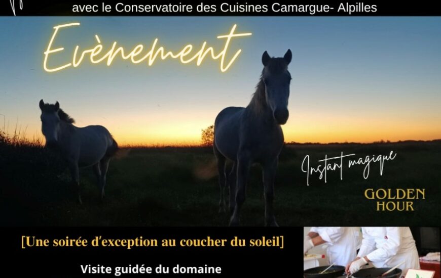 Soirée d'exception au coucher du soleil à la Maison du Cheval Camargue