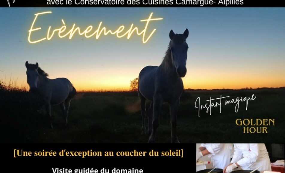 Soirée d'exception au coucher du soleil à la Maison du Cheval Camargue